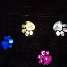 Solar Paw Print Garden Lights